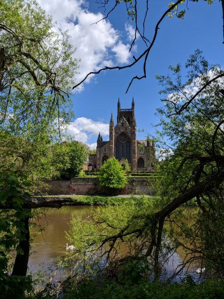 Worcester Cathedral view from the opposite river bank